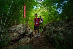 BIB: 
                            <button type="button" onclick="openModal(22089316)" class="btn btn-primary btn-sm float-right btn-popup" data-toggle="modal" data-target=".modal-high-quality">
                        <i class="fas fa-shopping-cart"></i> Add to Cart
                    </button>
                                            <button type="button" onclick="isThisMe(22089316, true)" class="btn btn-success btn-sm float-right btn-popup btn-isme hidden" data-toggle="tooltip" data-placement="bottom" title="นี่คือรูปของคุณใช่ไหม คลิกที่นี่เพื่อเอาเข้าอัลบั้ม">
                        <i class="fas fa-plus"></i> Add to album
                    </button>
                    <button type="button" onclick="isThisMe(22089316, false)" class="btn btn-warning btn-sm float-right btn-popup btn-isnotme hidden">
                        <i class="fas fa-ban"></i> Remove from album
                    </button>